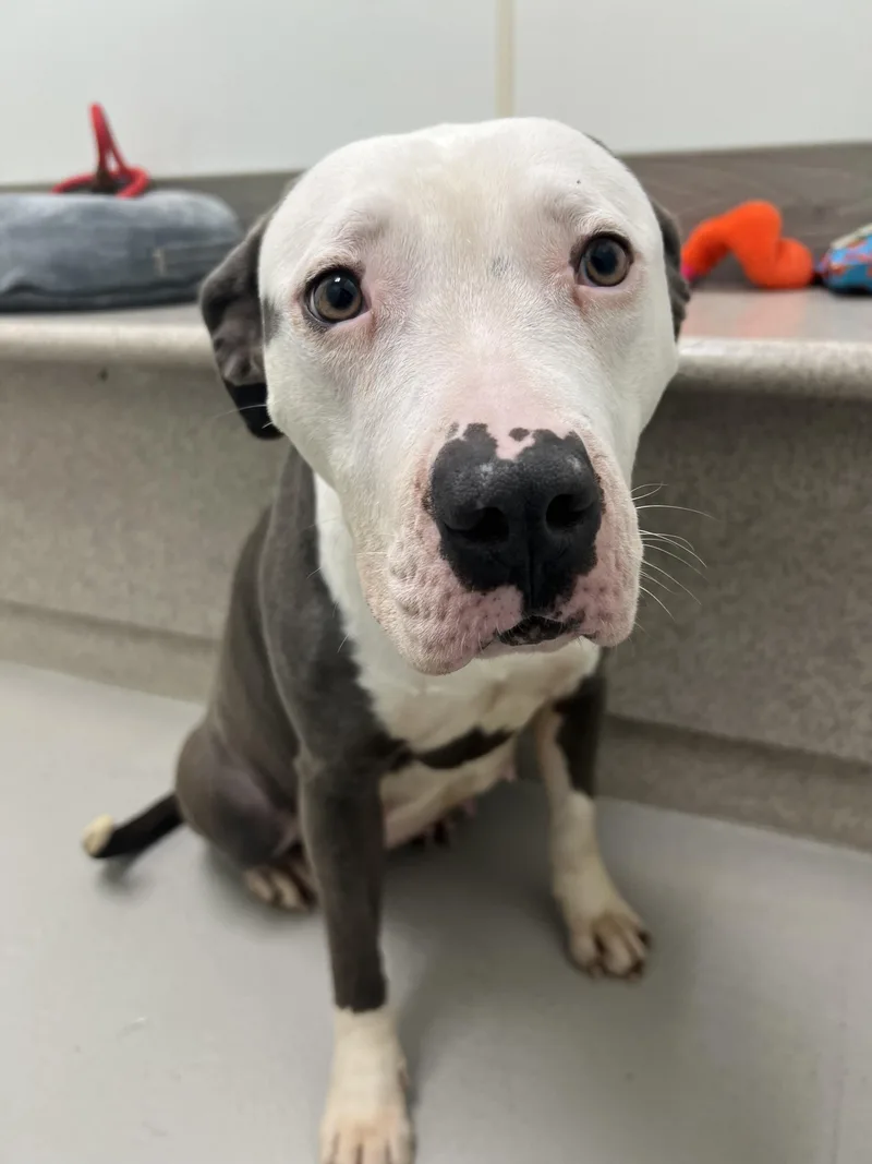 Ruth Hazel thumbnail 2