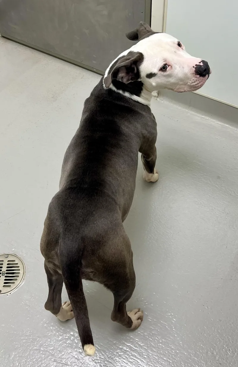 Ruth Hazel thumbnail 3