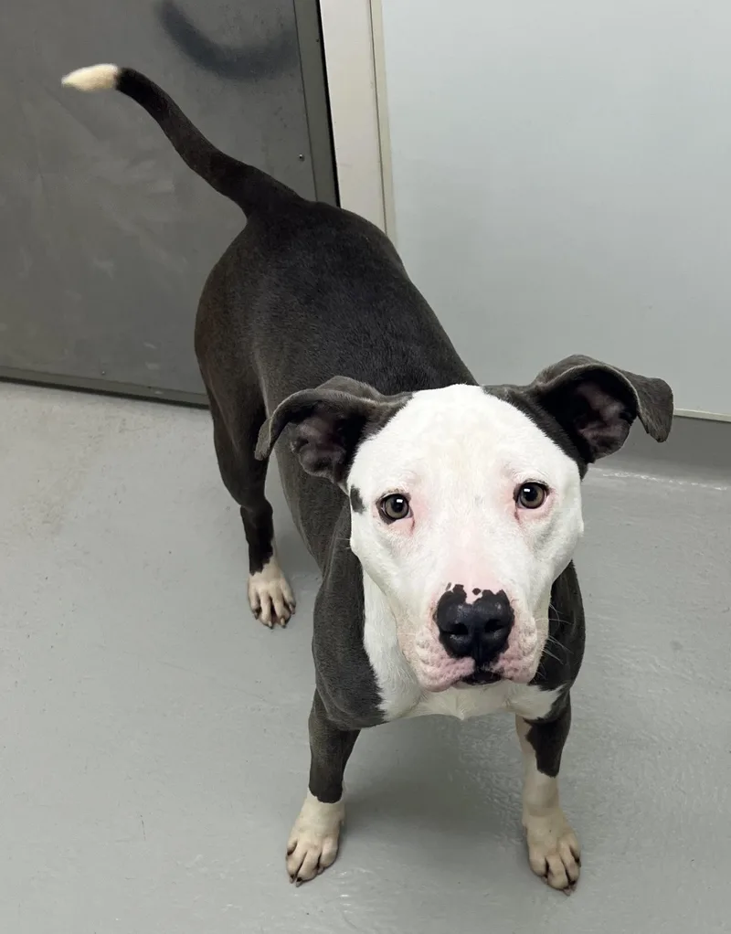 Ruth Hazel thumbnail 4