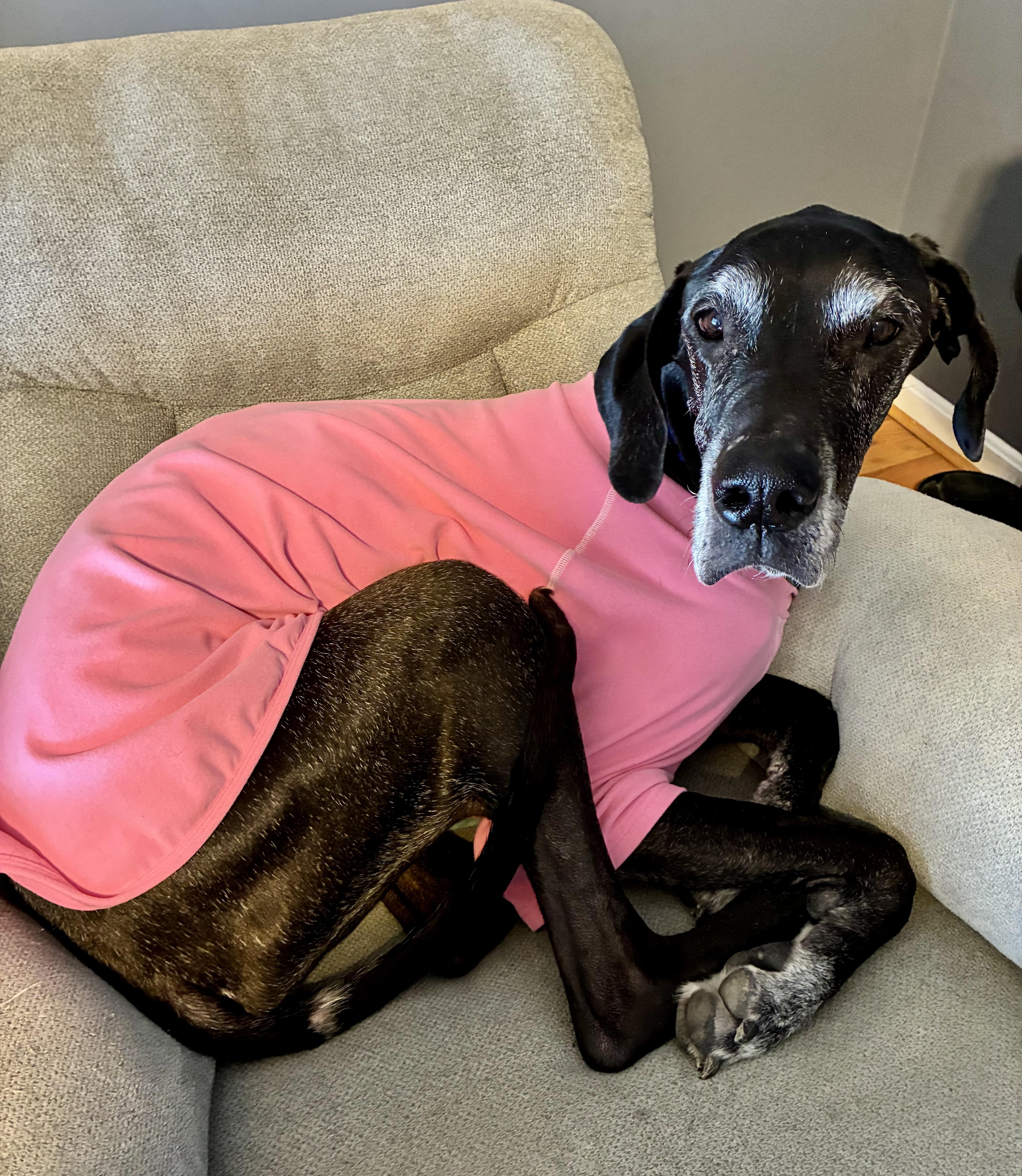 Catherine thumbnail 3