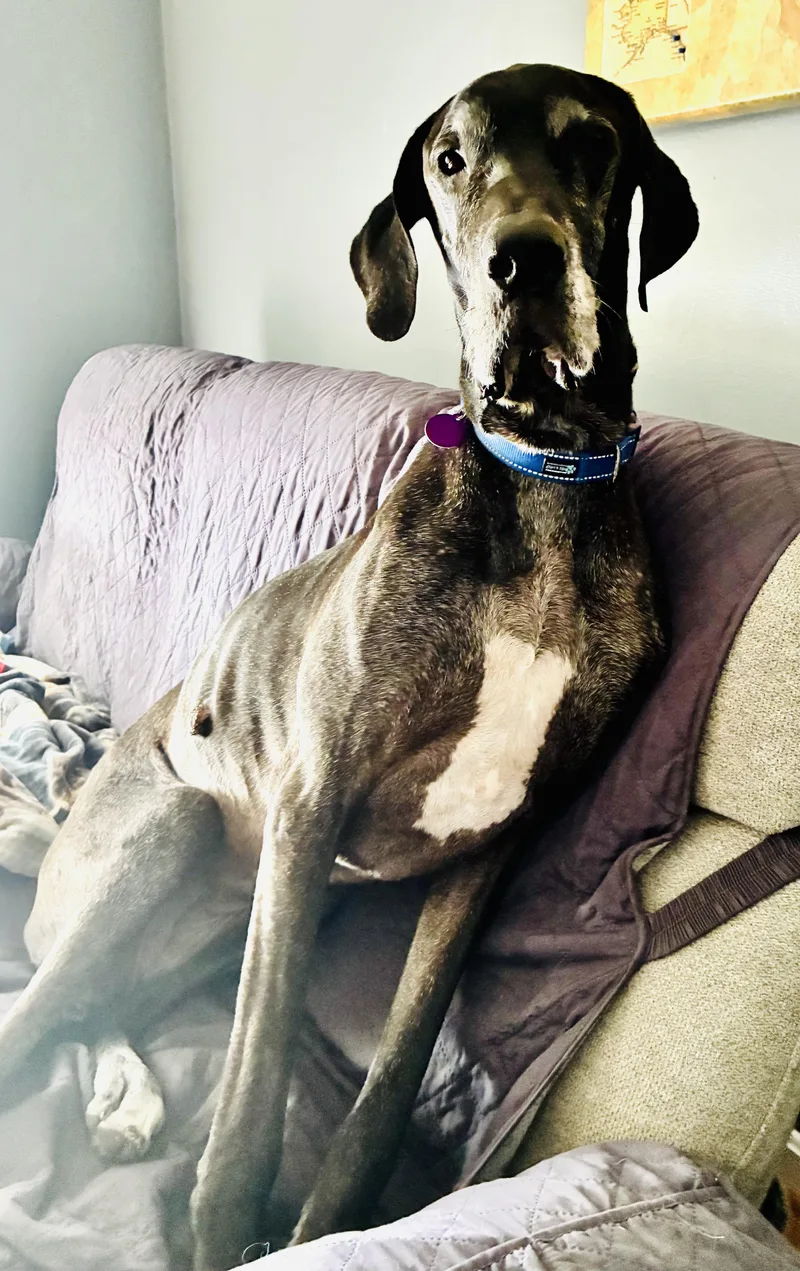 Catherine thumbnail 4