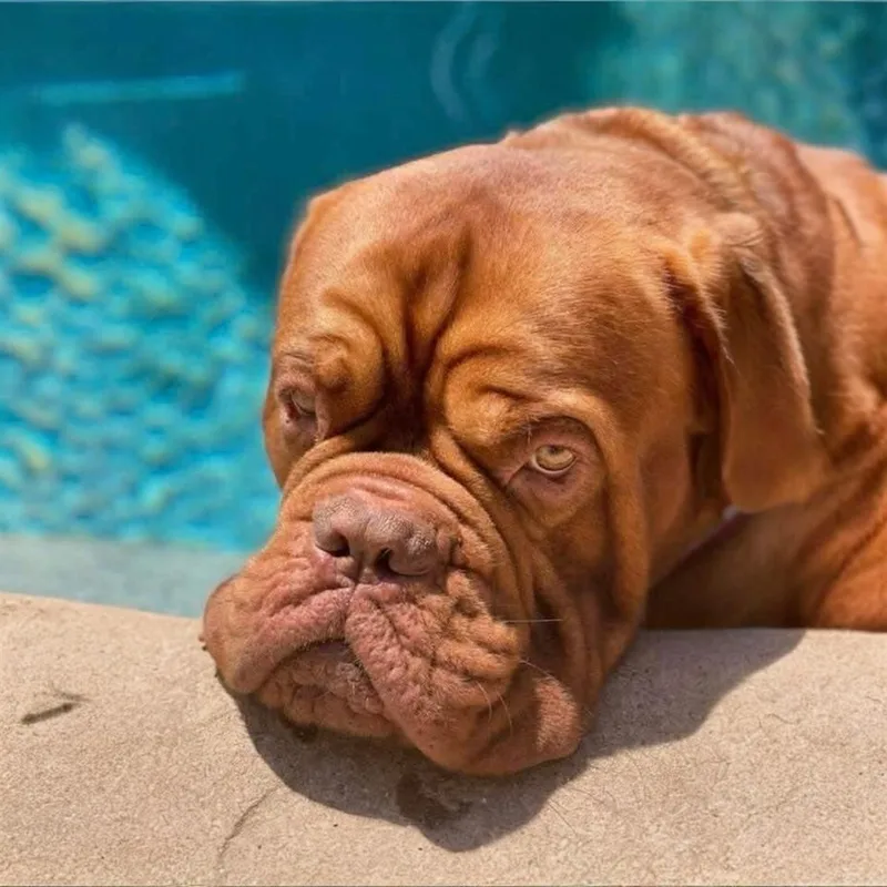 Wisdom  Mama Rhea thumbnail 2