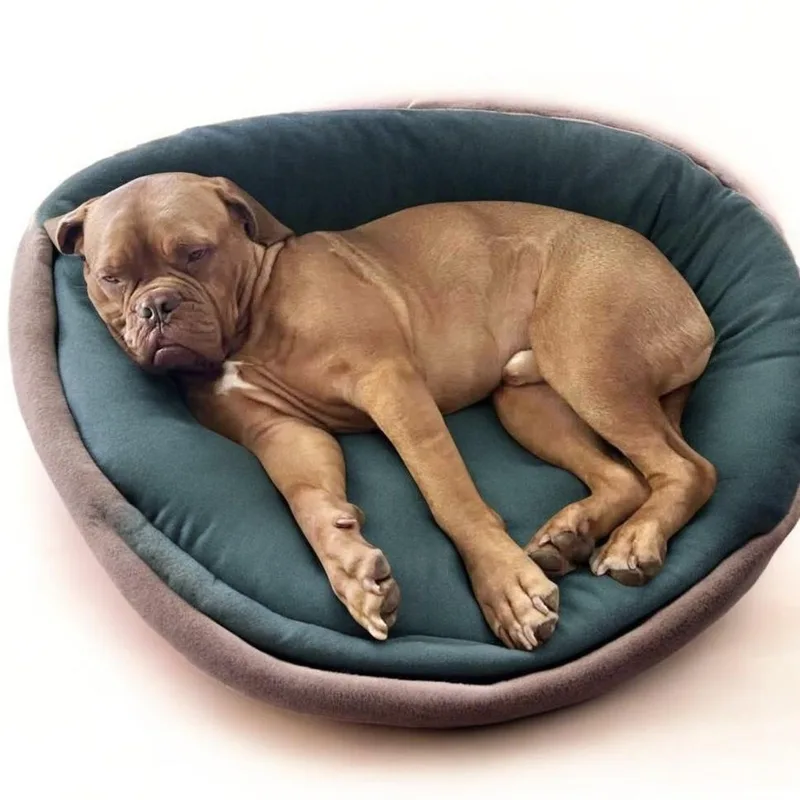 Wisdom  Mama Rhea photo 1