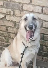 Dasher & Dancer Sisters!!