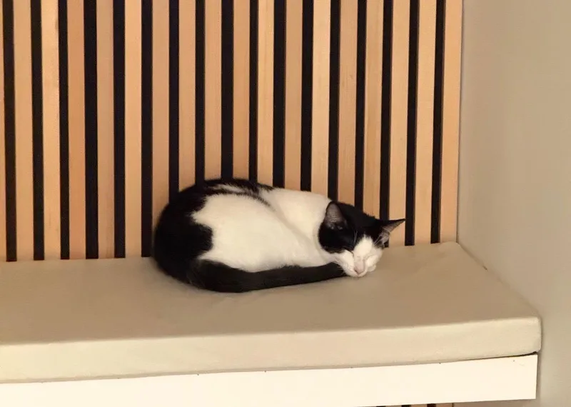 Oreo: A Sweet Treat thumbnail 3