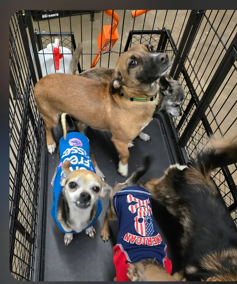 Baytown Girl thumbnail 2