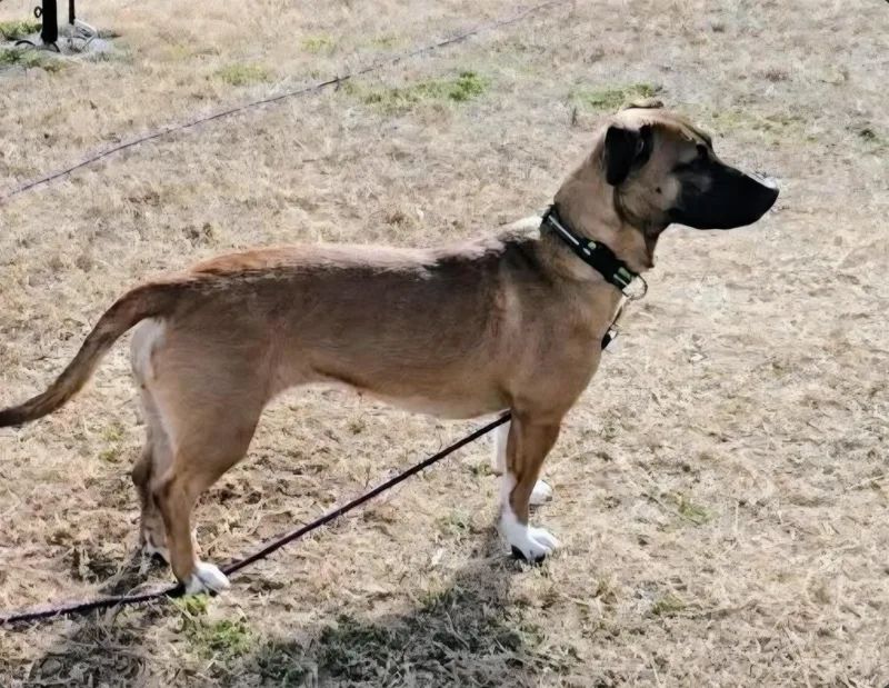 Baytown Girl thumbnail 3