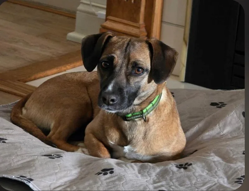 Baytown Girl thumbnail 4