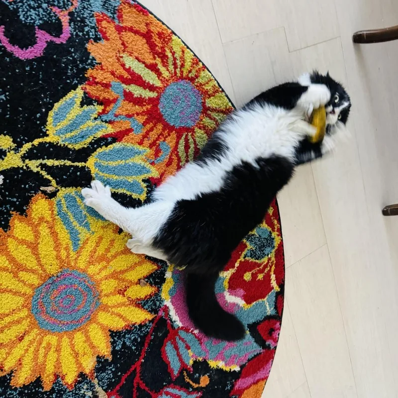 Sylvester thumbnail 2