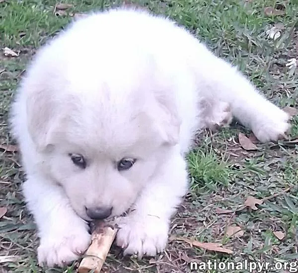 Julian In La  thumbnail 2