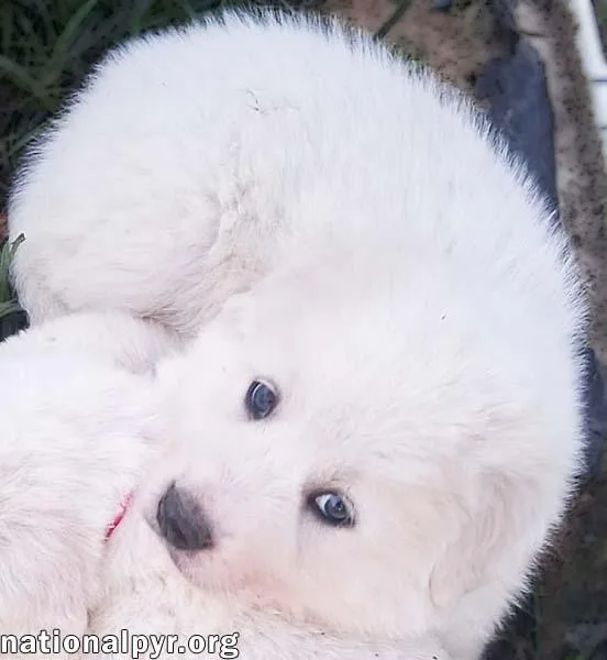 Julian In La  thumbnail 3