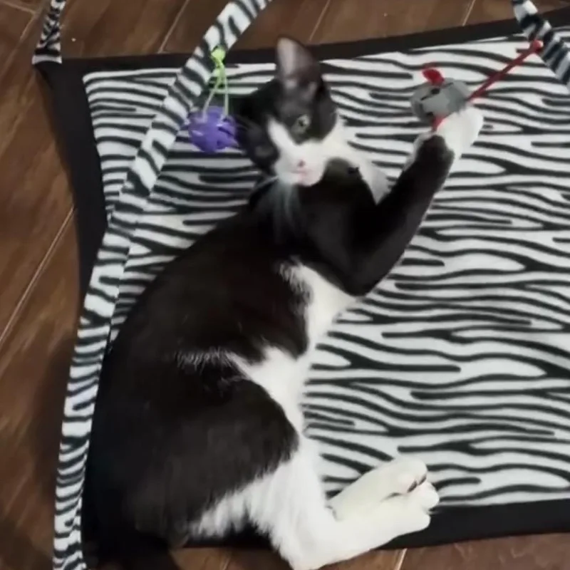 Sebastian thumbnail 2