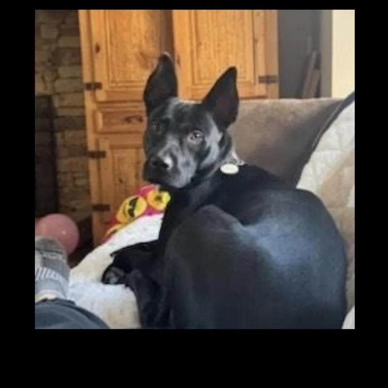 Brittany thumbnail 2