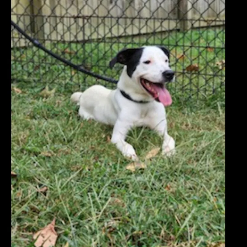 Charlotte thumbnail 2