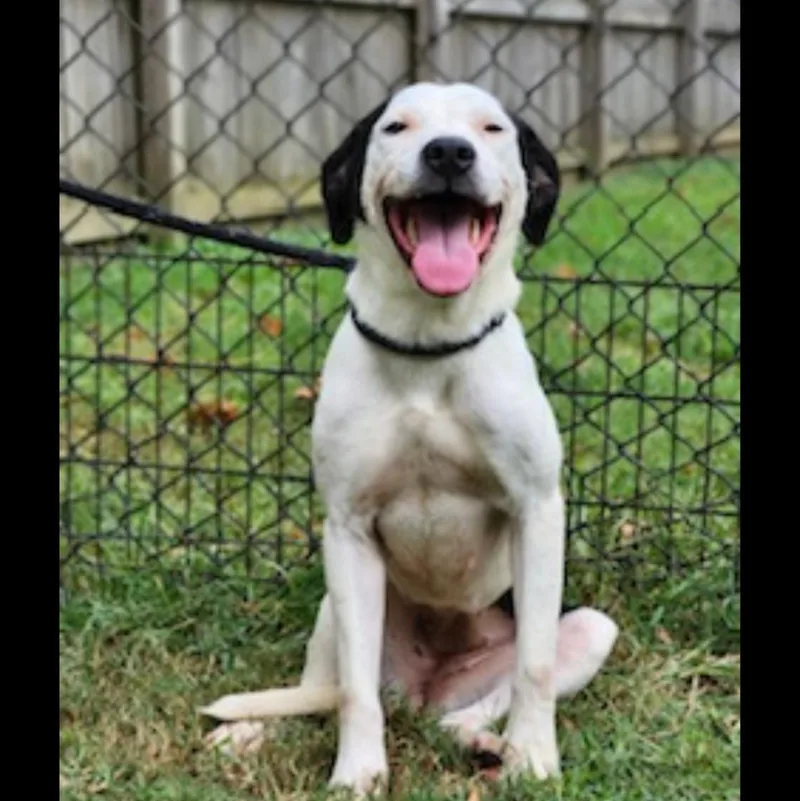 Charlotte thumbnail 3