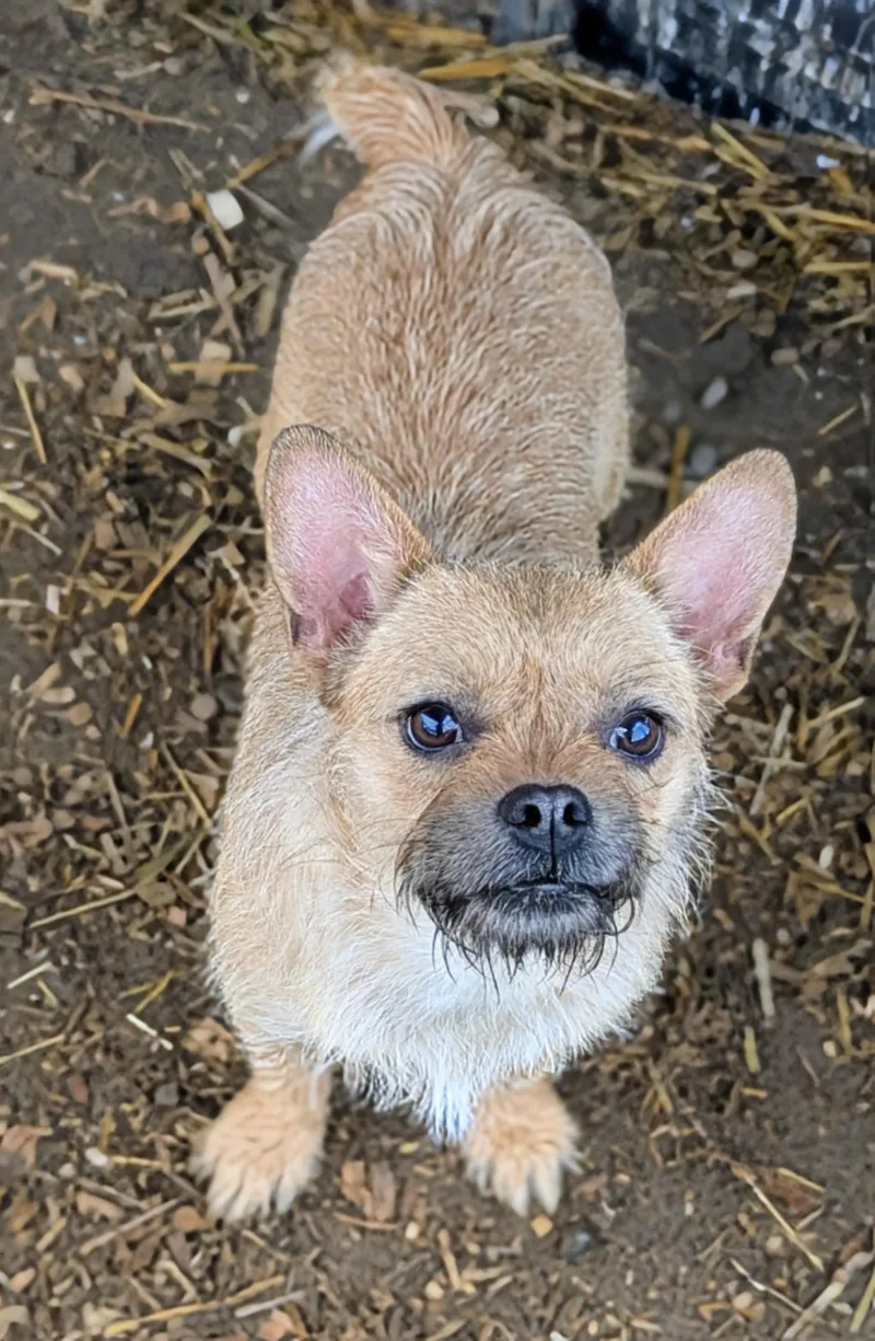 Bahama Mama thumbnail 2