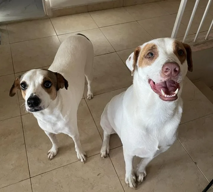 Leelah And Luke thumbnail 2