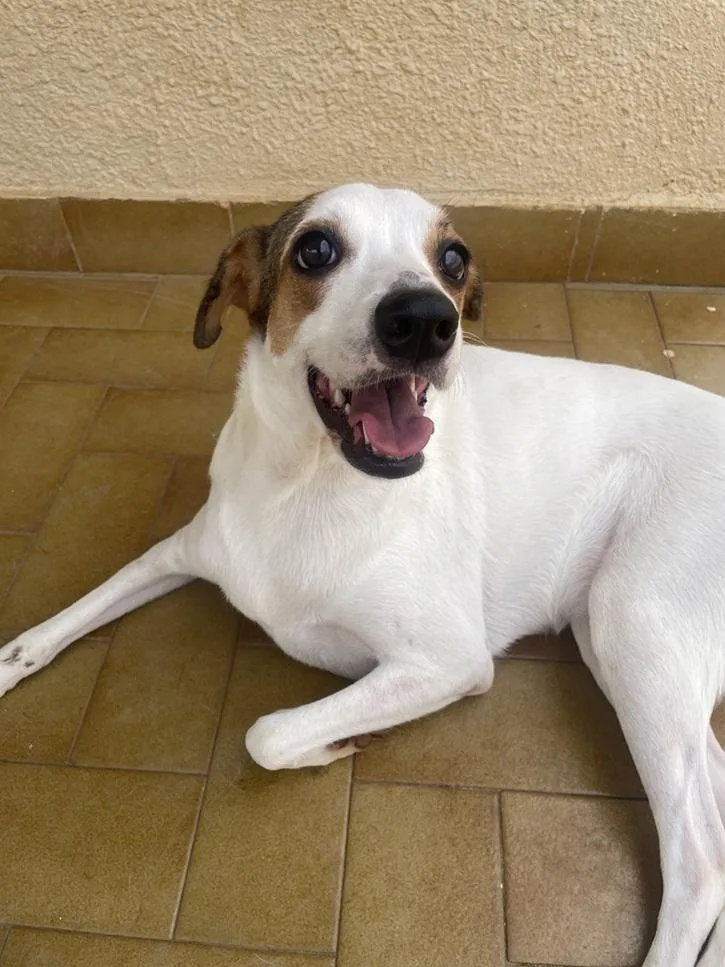 Leelah And Luke thumbnail 3