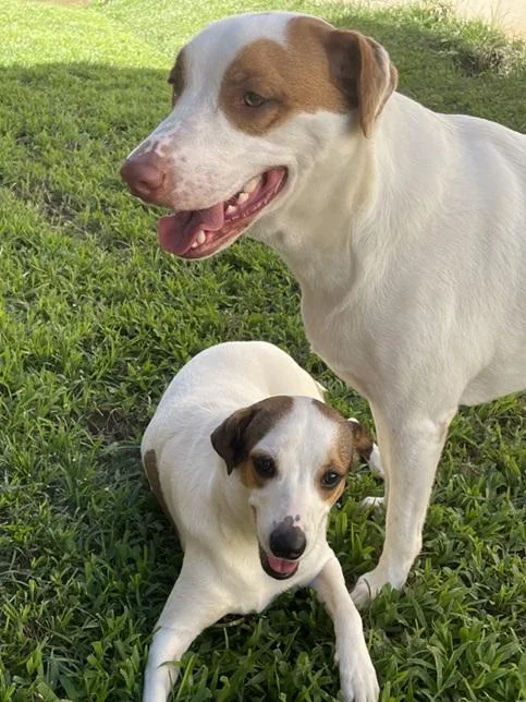 Leelah And Luke thumbnail 4