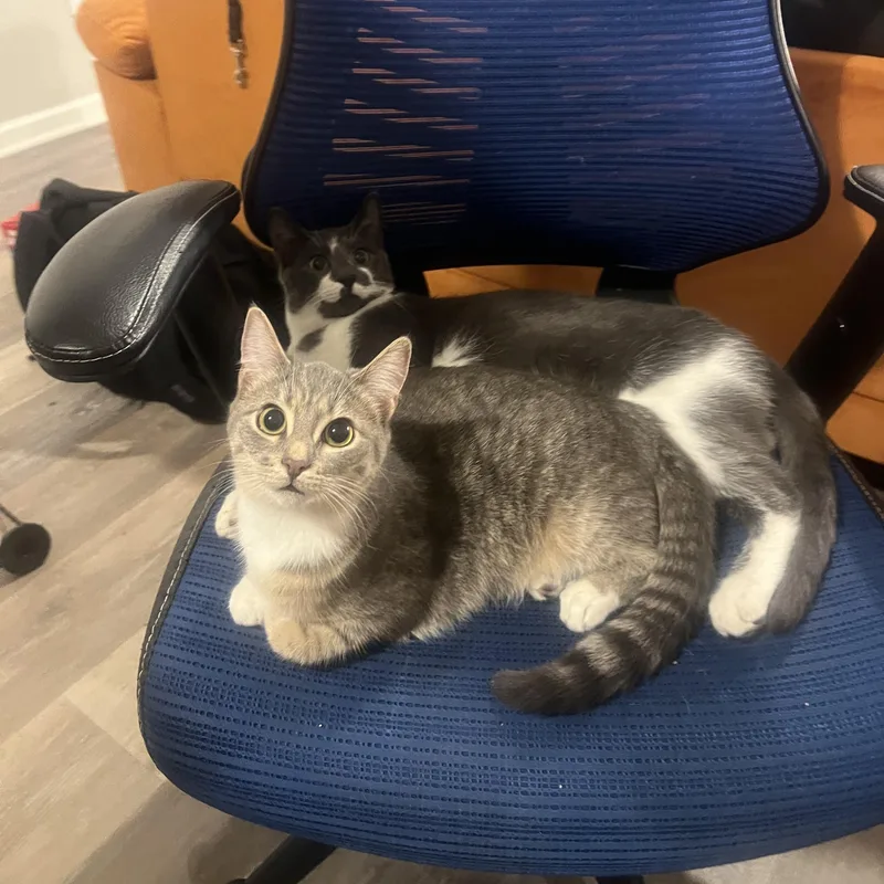 Riddick And Lottie thumbnail 3