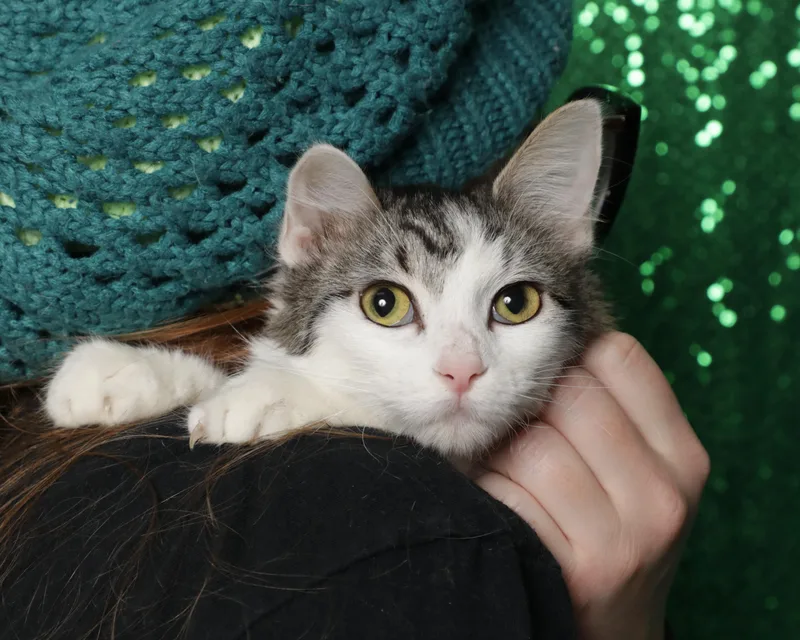 Coconut Cream thumbnail 2