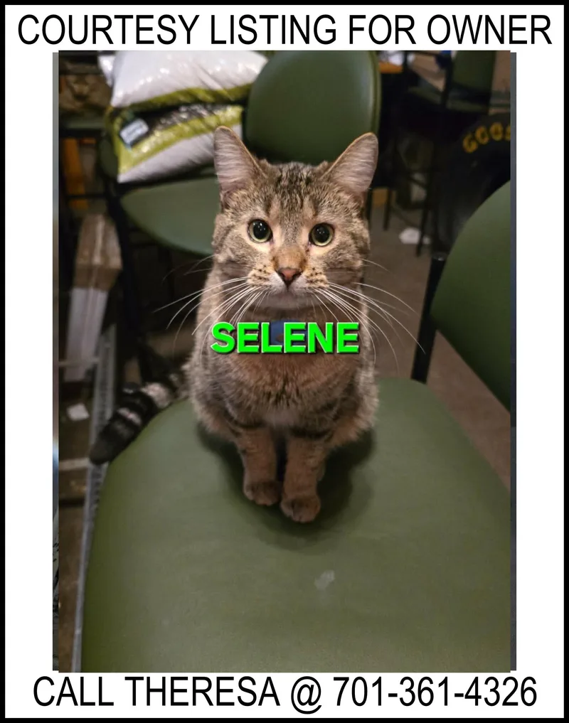 Selene  Courtesy Listing
