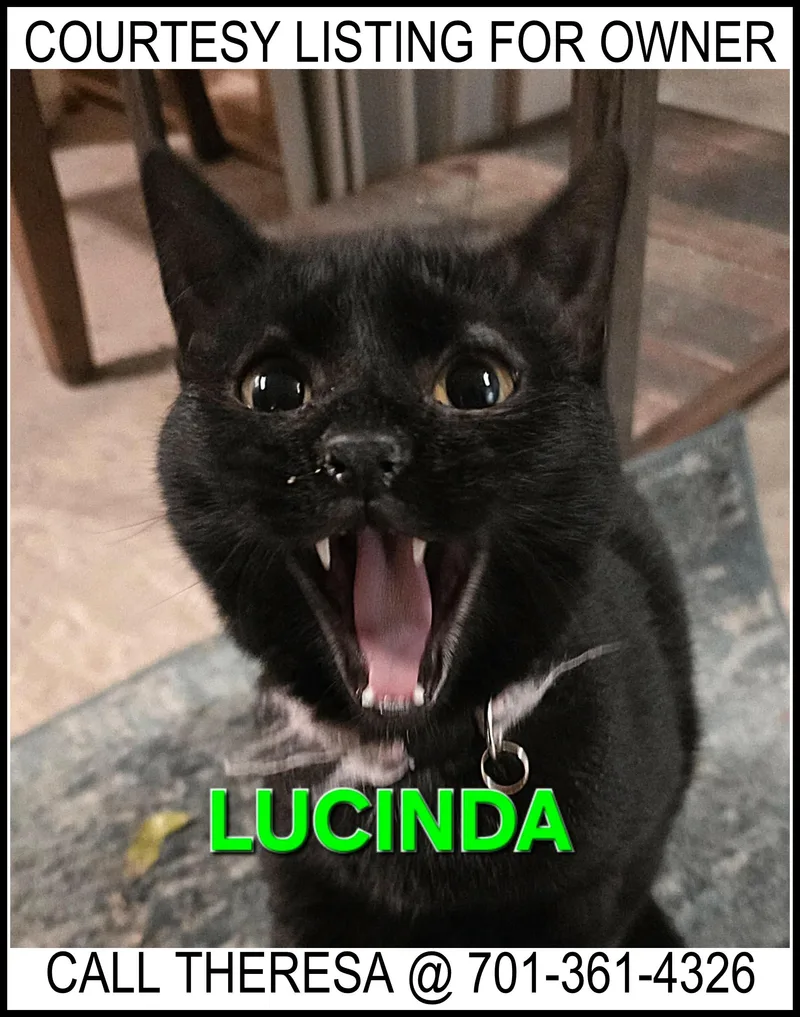 Lucinda  Courtesy Listing