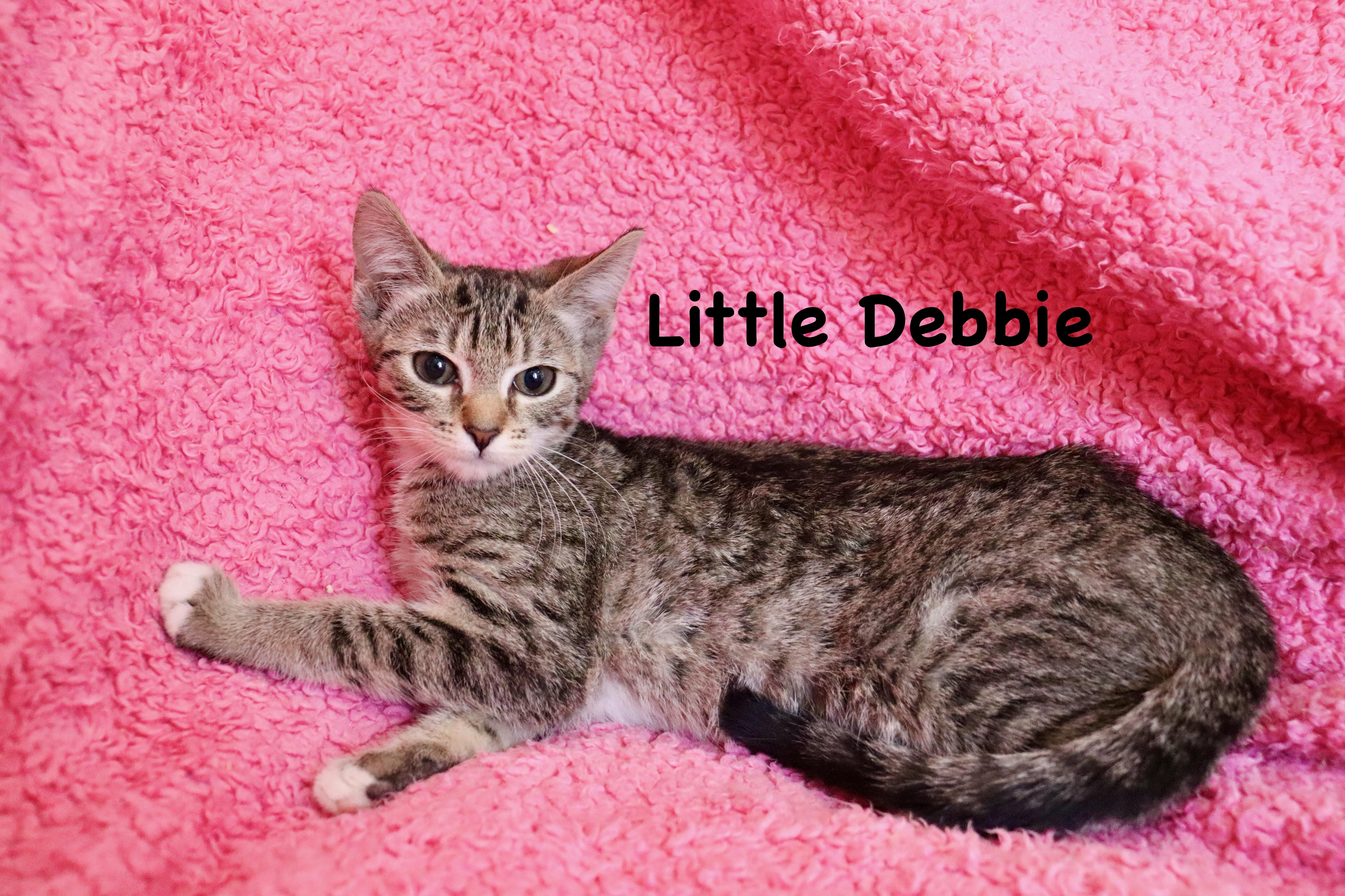 Little Debbie