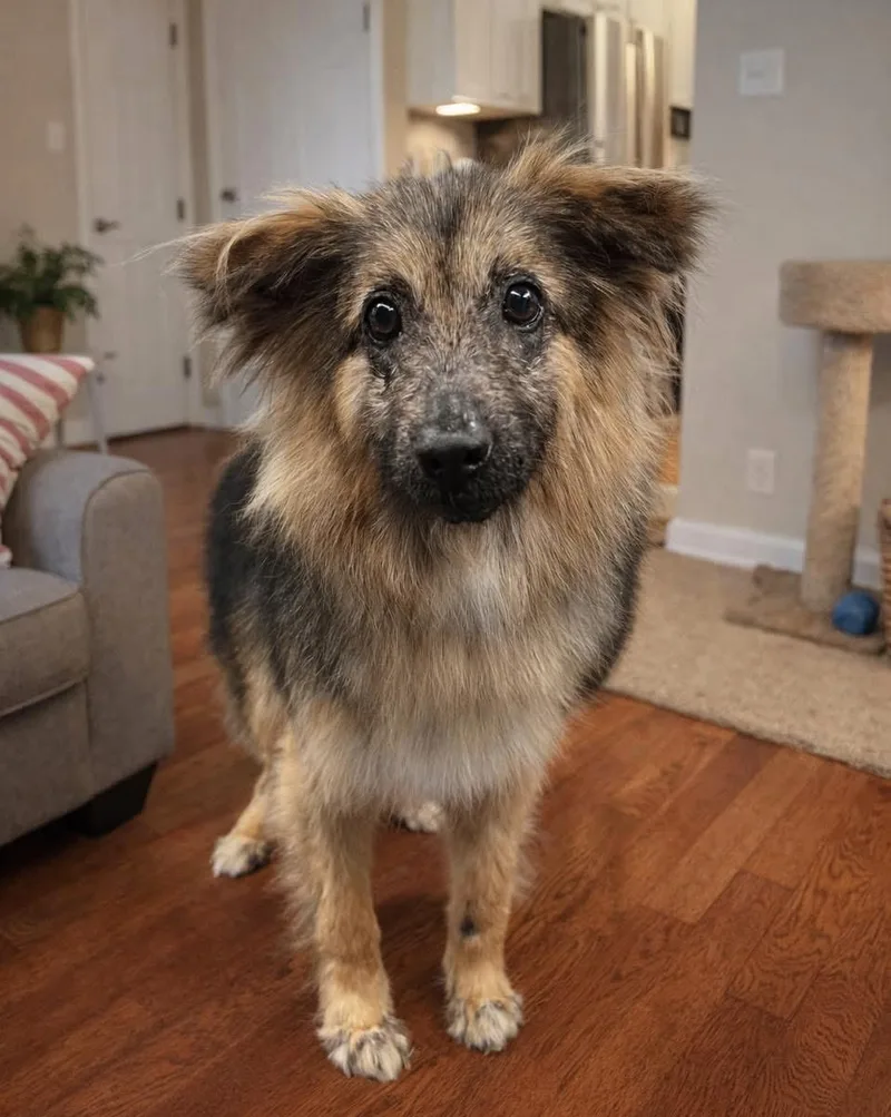 Bobby Joe thumbnail 4