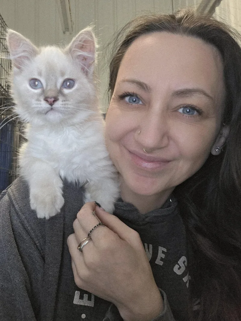 Bodensee Special Needs thumbnail 2