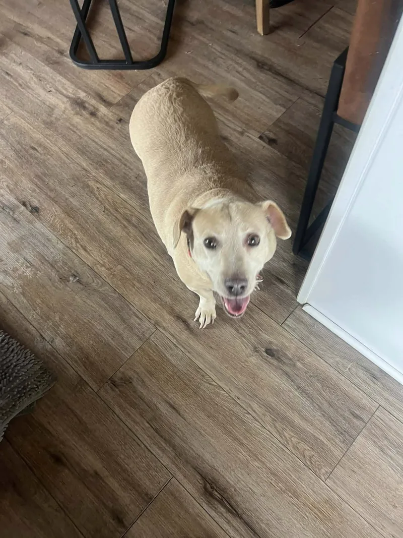 Canta & Coco thumbnail 2