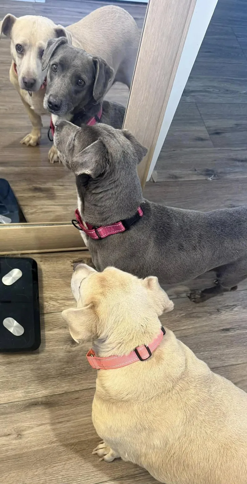 Canta & Coco thumbnail 3