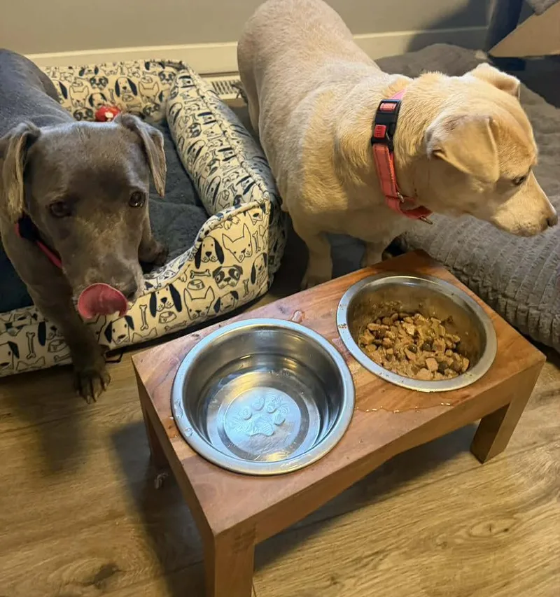 Canta & Coco thumbnail 4