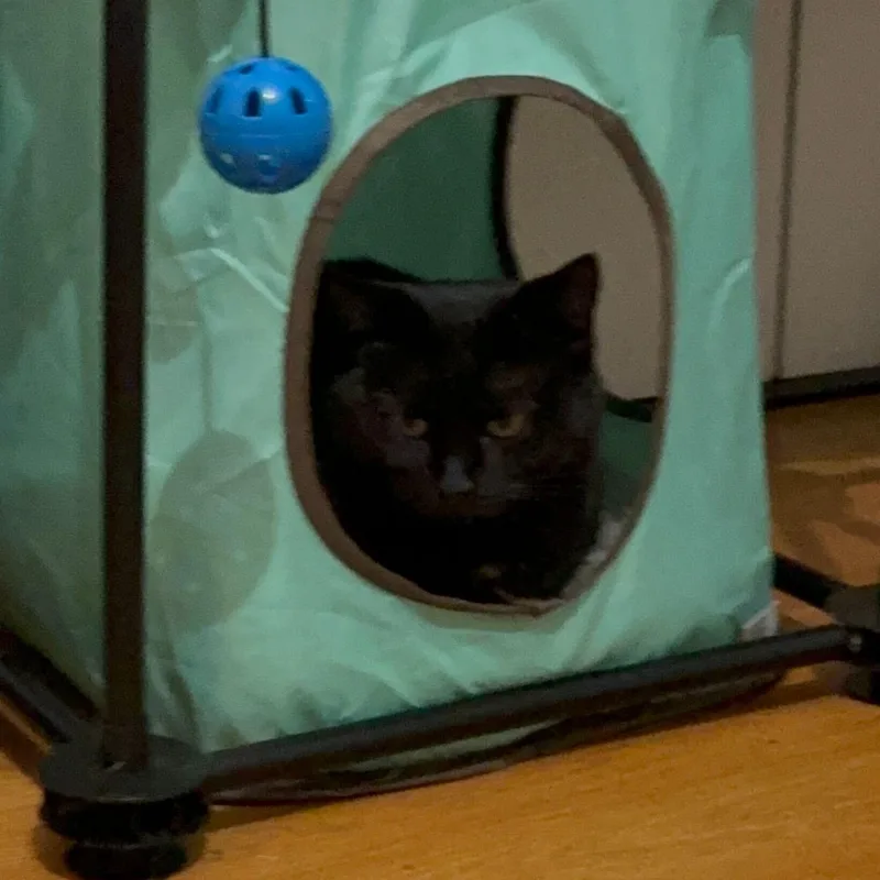 Elizabeth & Summer thumbnail 2