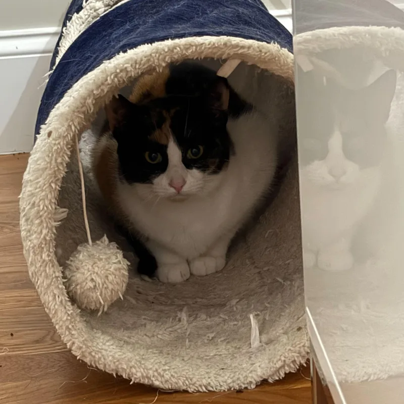 Elizabeth & Summer thumbnail 3