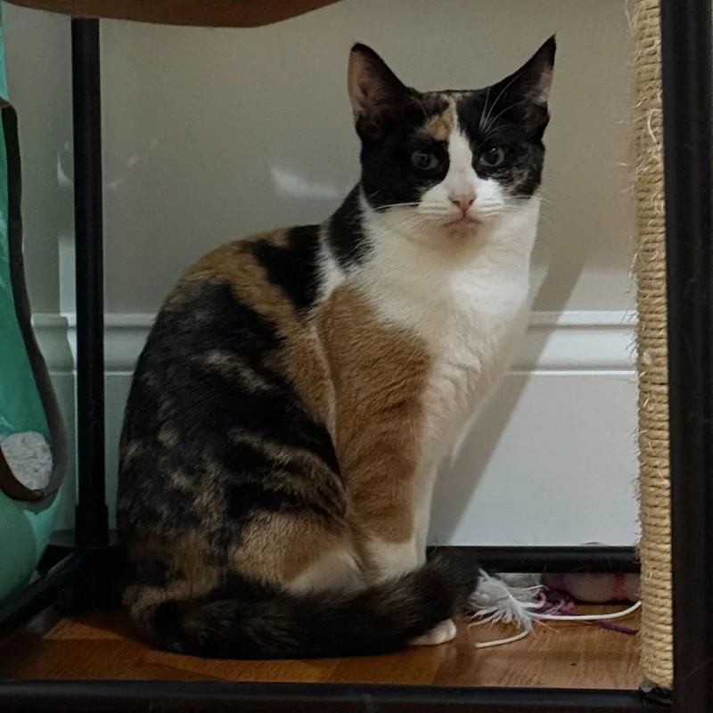 Elizabeth & Summer thumbnail 4