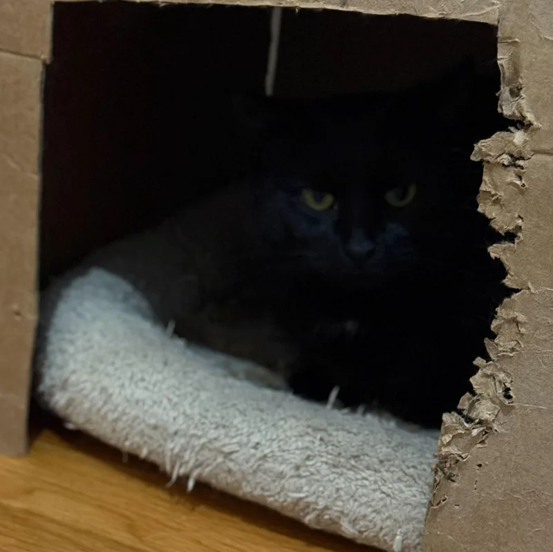 Elizabeth & Summer thumbnail 5