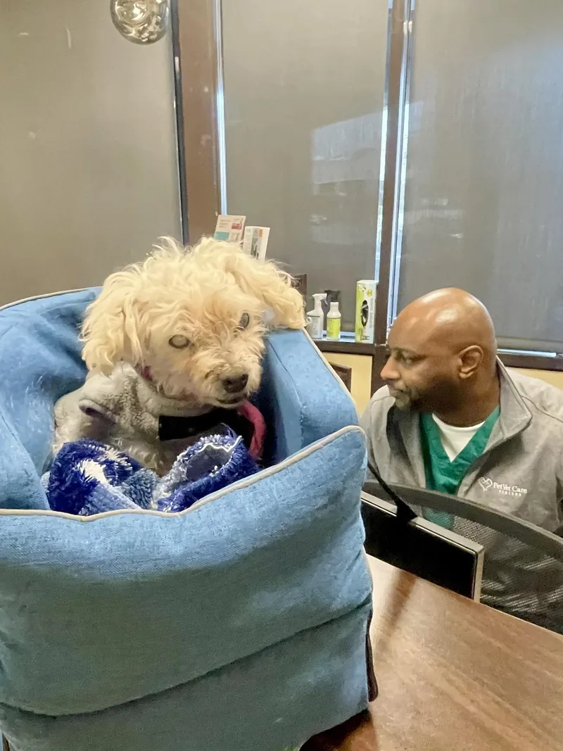 Sarah Bernhardt thumbnail 2