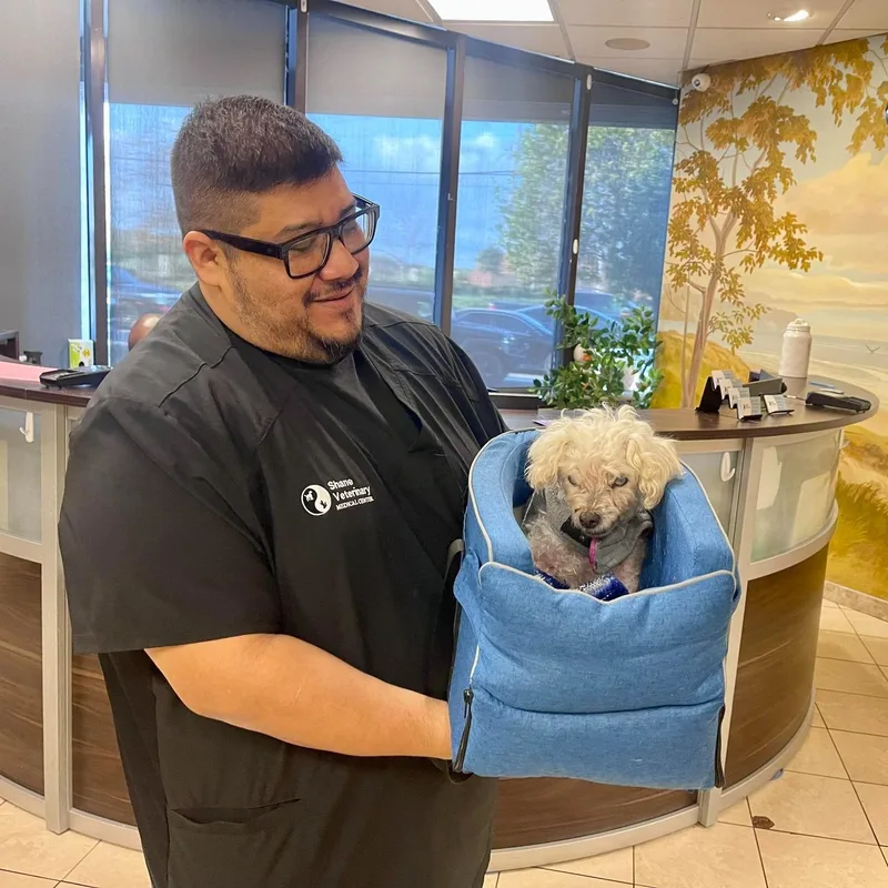 Sarah Bernhardt thumbnail 3