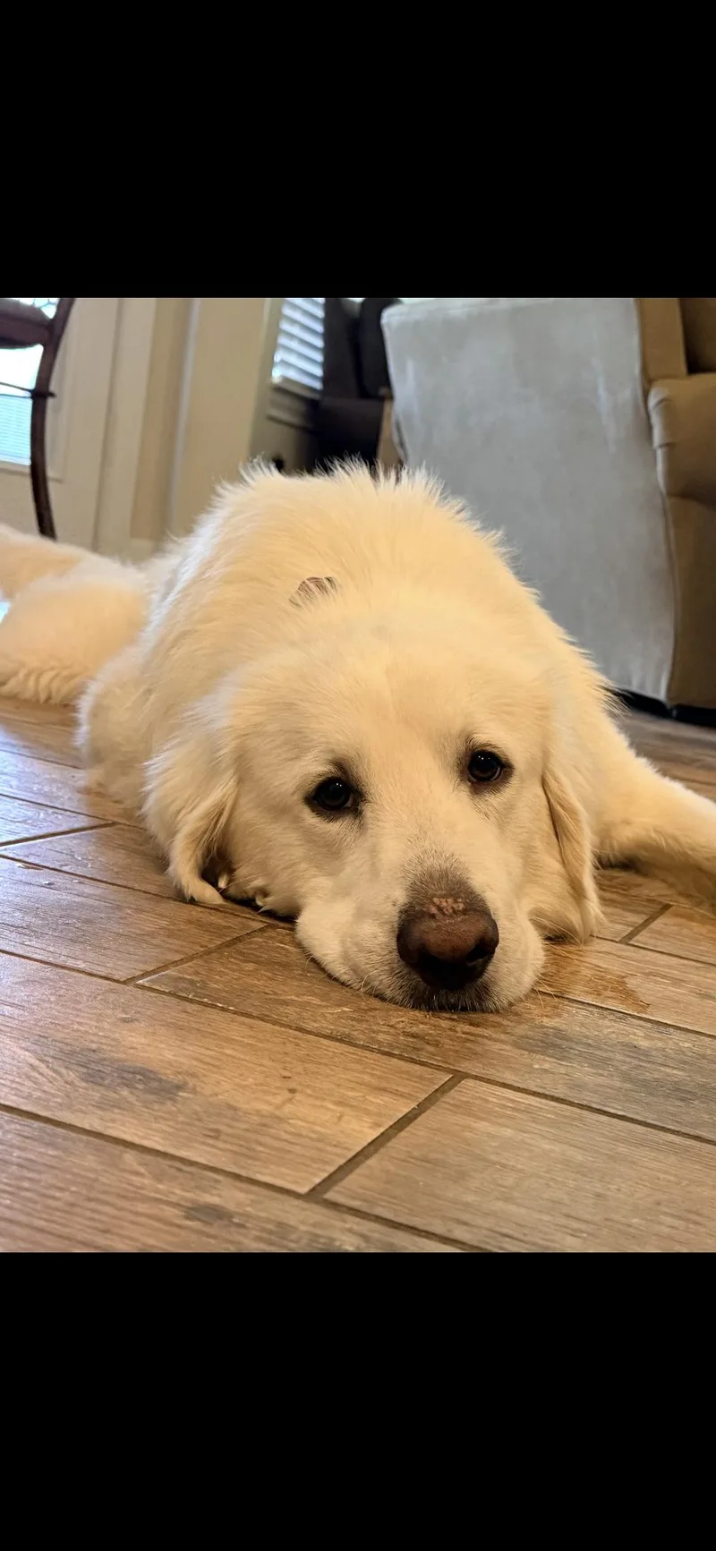 Walker Htx thumbnail 2