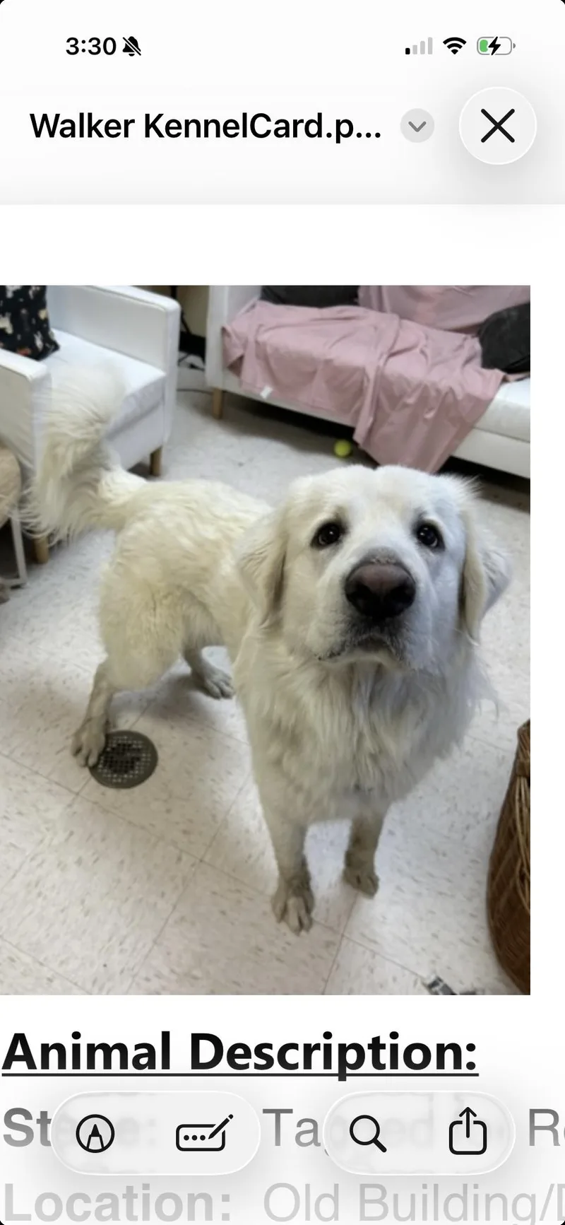 Walker Htx thumbnail 4