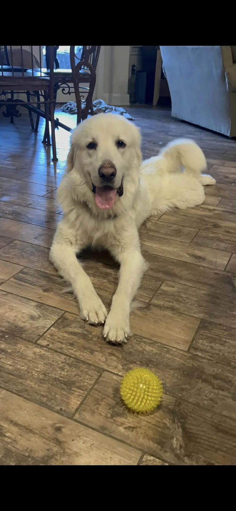 Walker Htx thumbnail 5