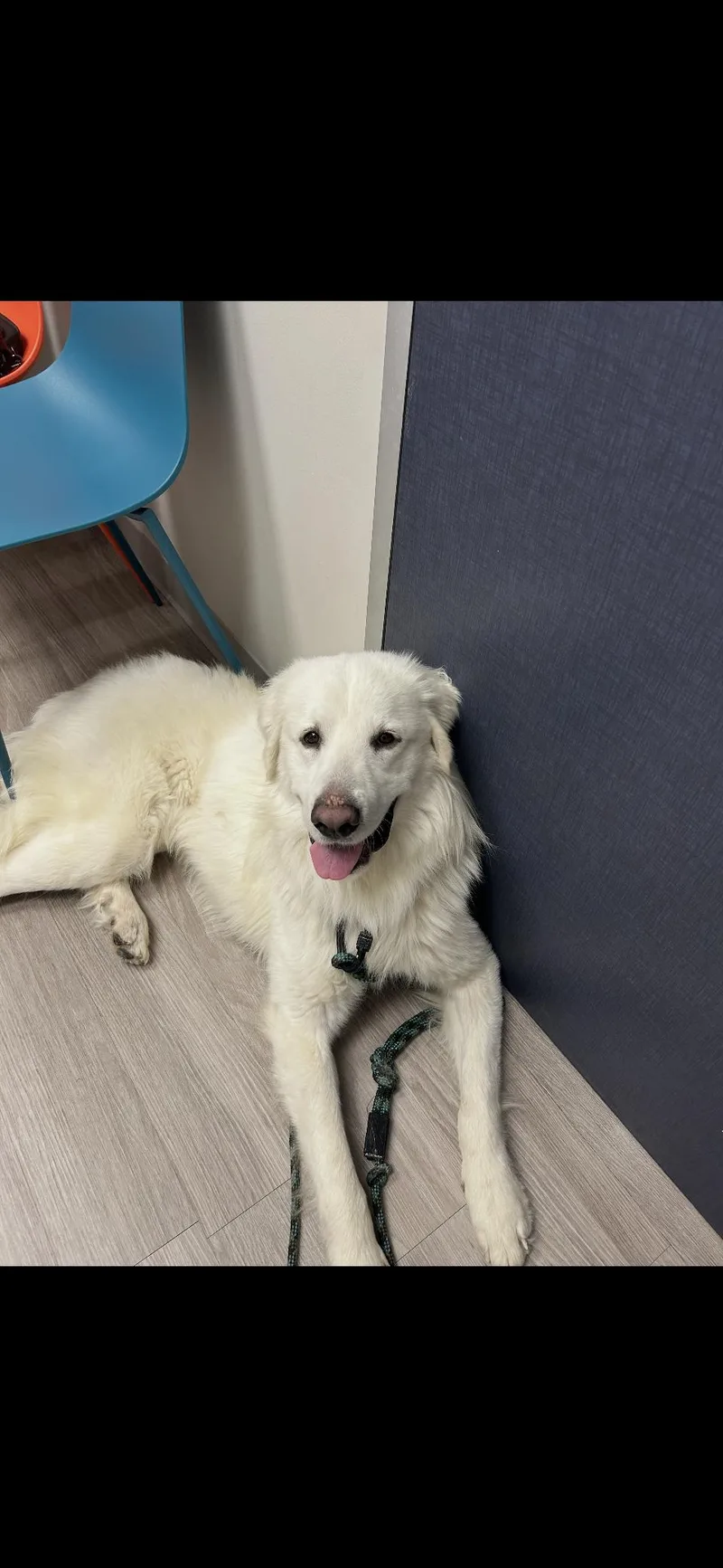 Walker Htx thumbnail 6