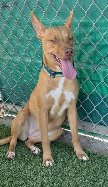 Gymnastics thumbnail 2