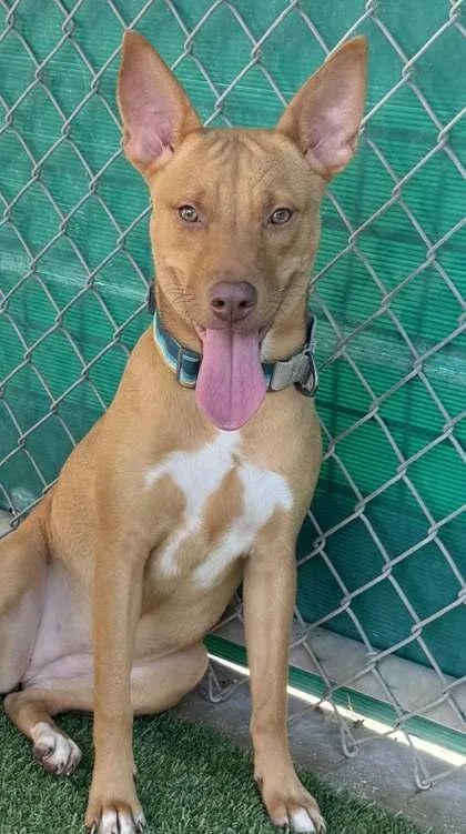 Gymnastics thumbnail 3