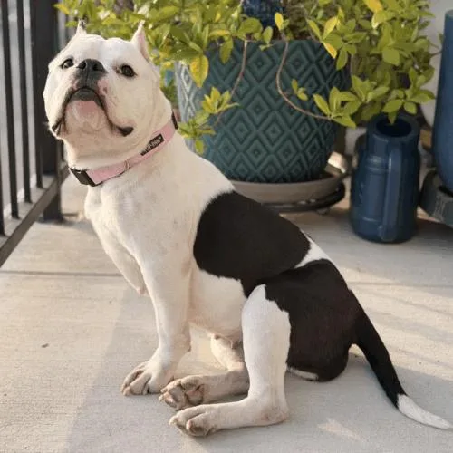 Cindy Pawford thumbnail 2