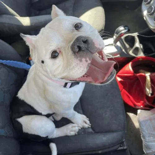 Cindy Pawford thumbnail 4