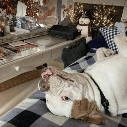 Huey (copy) thumbnail 5