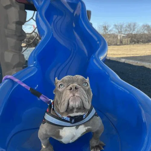 Junie Mae thumbnail 4