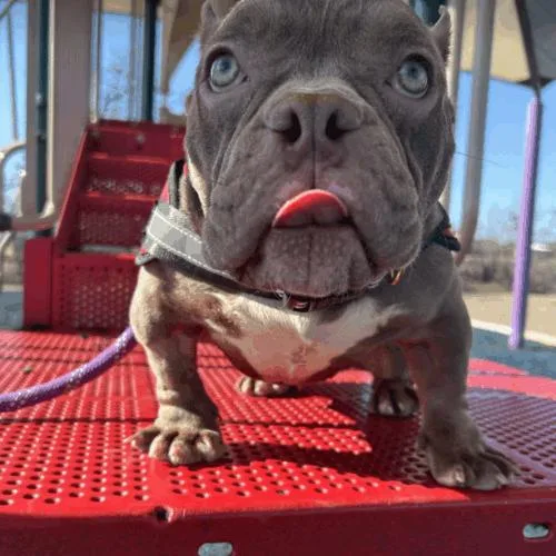 Junie Mae thumbnail 5